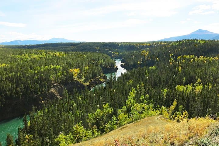 Arctic Day Half-Day: Miles Canyon Hiking Tour from Whitehorse photo 2