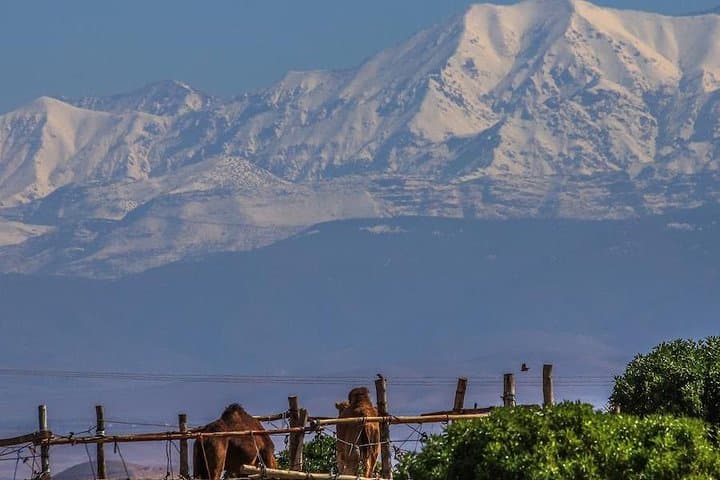 Two-Day Atlas Mountains and Desert Camp Escape from Marrakech photo 2