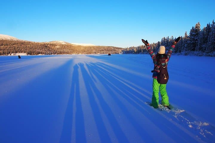 Half-Day Yukon Snowshoeing Adventure from Whitehorse photo 3