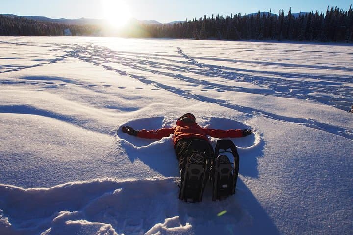 Half-Day Yukon Snowshoeing Adventure from Whitehorse photo 4