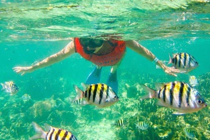 Sail and Snorkel: Discover Punta Cana’s Coastal Treasures photo 4