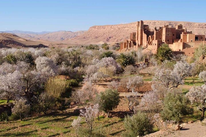 3-Day Sahara Escape: Marrakech to Erg Chebbi Dunes at Merzouga photo 4