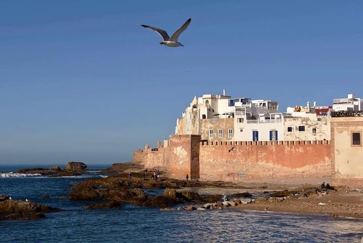 Essaouira Day Trip from Marrakech: Windswept Port, Medina & Argan Co‑ops photo 2