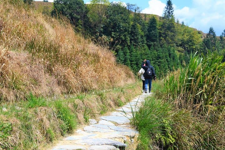 Day Hike to Longji Rice Terraces and Minority Villages from Guilin photo 4