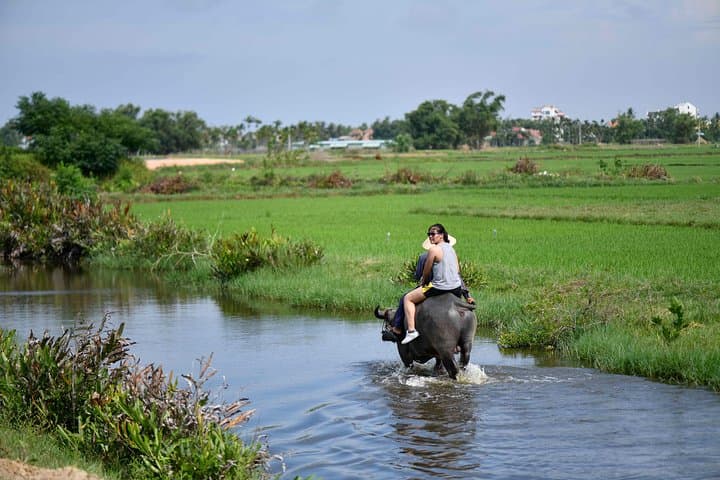 Buffalo Riding & Basket Boat Tour from Da Nang to Cam Thanh Village photo 3