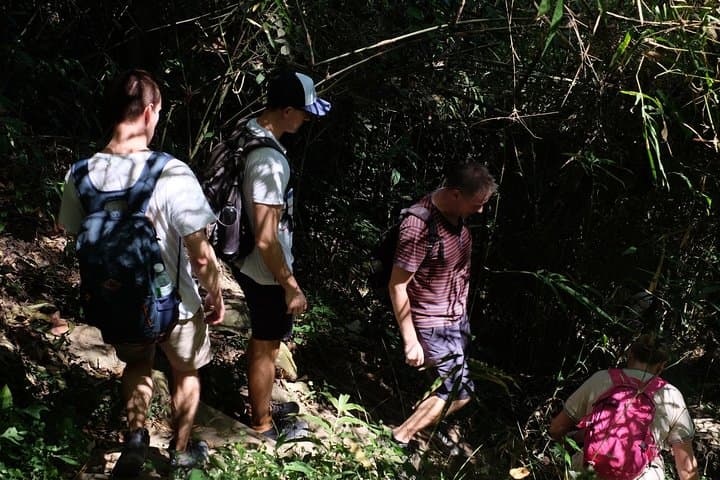 Doi Suthep Trek: Market, Temple and Waterfall Hike from Chiang Mai photo 4