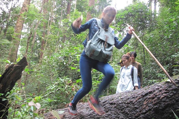 Doi Suthep Trek: Market, Temple and Waterfall Hike from Chiang Mai photo 3