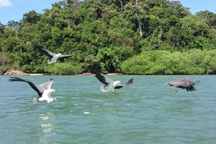 Langkawi Private Island Hopping: Eagles, Dayang Bunting Lake & Beras Basah Beach photo 4