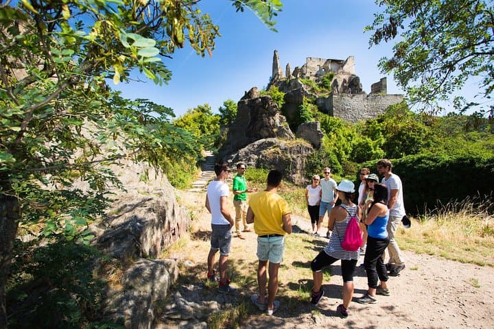 Pedal & Pour: Wachau Valley Wine-Tasting Bike Tour from Vienna photo 4