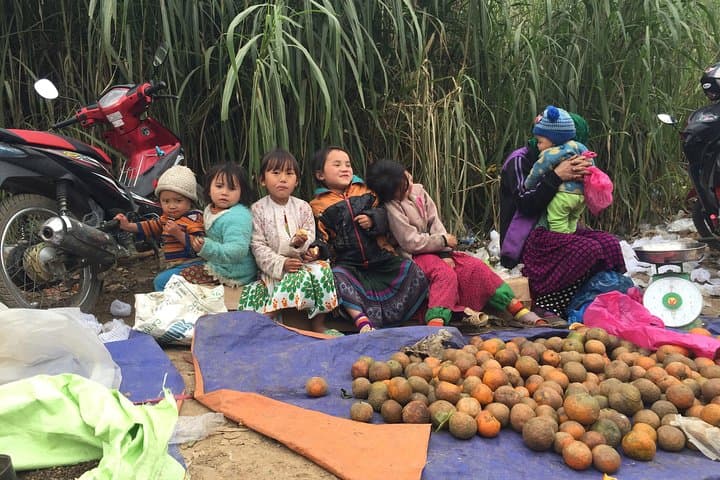 3-Day Ha Giang Loop: Ma Pi Leng Pass, Dong Van Plateau & Ethnic Homestays photo 2