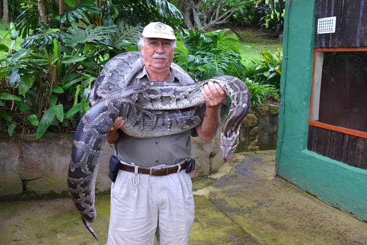 Phezulu Cultural Village & Reptile Park: Zulu Culture and Reptile Encounter Near Durban photo 3