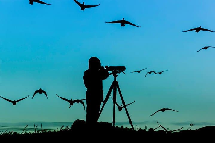 Tanzania Bird Watching Tours: Mikumi & National Park Birding from Dar es Salaam photo 4