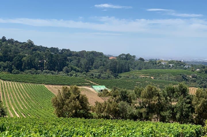 Robben Island, Kirstenbosch & Constantia Wine Tour — Full-Day Small-Group Experience photo 5