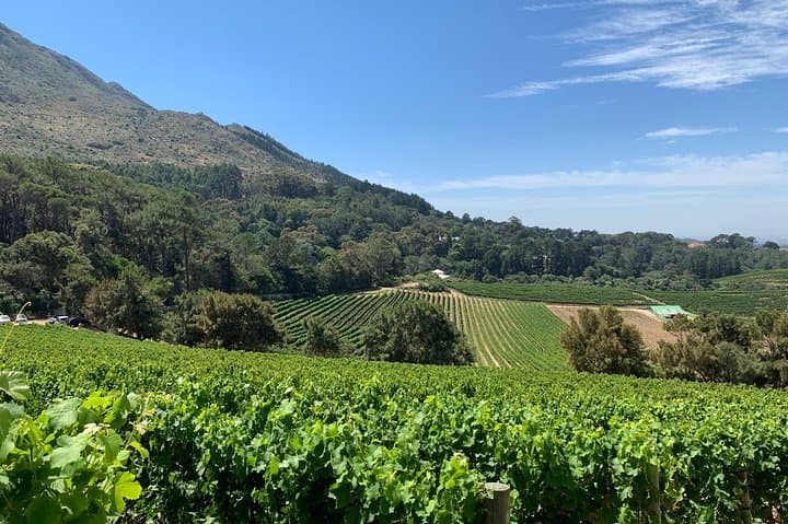 Robben Island, Kirstenbosch & Constantia Wine Tour — Full-Day Small-Group Experience photo 6