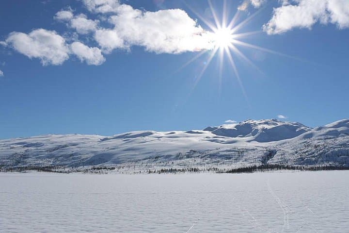 Ice Fishing on Ullsfjord: Arctic Catch & Cookout from Tromsø photo 4