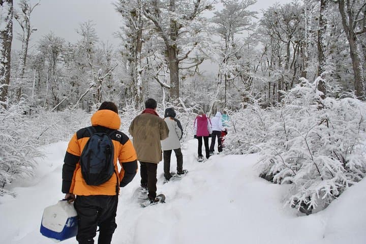 Ushuaia Night Adventure: Snowshoeing and Snowmobiling Under the Patagonian Moon photo 3