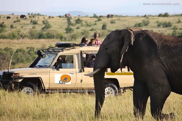 9-Day Kenya & Tanzania Safari: Maasai Mara, Serengeti & Ngorongoro Adventure