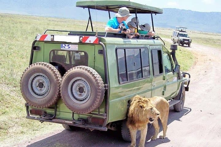 Explore Nairobi National Park: A Half-Day Safari Adventure Near the City photo 3