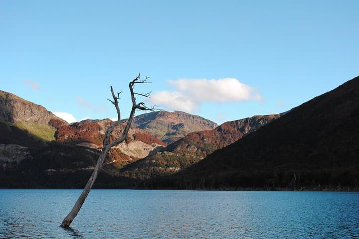 Escondido and Fagnano Lakes Day Trip from Ushuaia photo 6