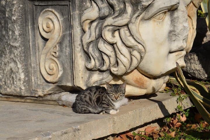 Best of Turkey 10-Day Small-Group Tour — Istanbul to Cappadocia, Ephesus & Pamukkale photo 2