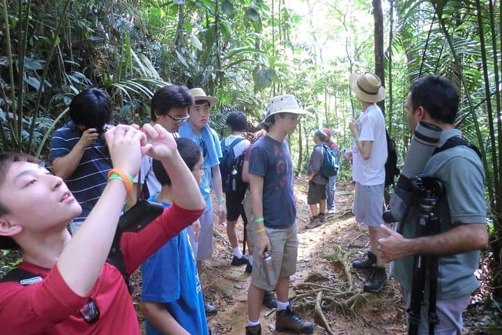 Puntarenas 6-in-1 Shore Excursion — Tarcoles Crocodiles, Villa Lapas Rainforest & City Tour photo 5