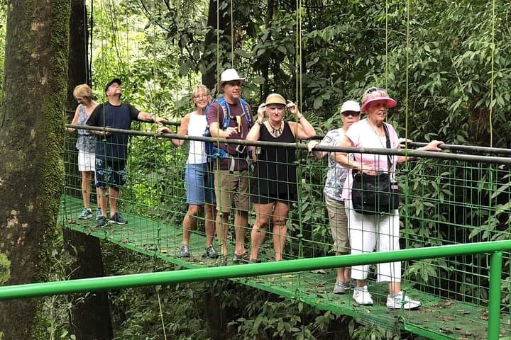 Rainforest Skywalk & Tarcoles River Cruise — Puntarenas Shore Excursion photo 4