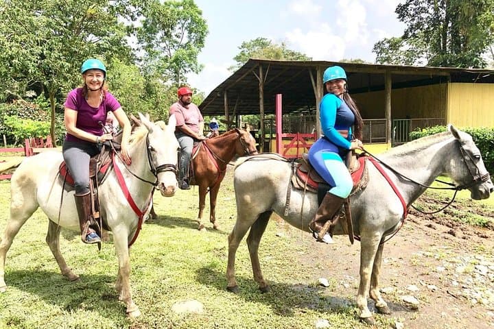 Whitewater Rafting and Horseback Riding Combo in Sarapiqui, Costa Rica: A Private Adventure photo 3