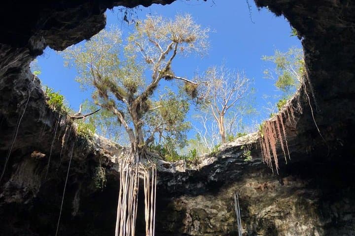 Cenotes Santa Bárbara Day Trip from Mérida — Horse-Drawn Trucks, Bikes & Crystal Pools photo 4