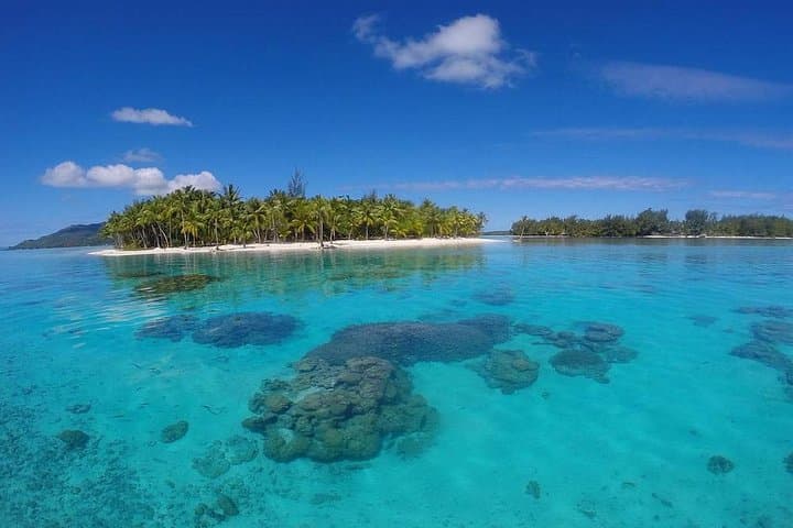 Private Bora Bora Lagoon Tour: Exclusive Snorkeling & Motu Hopping photo 2