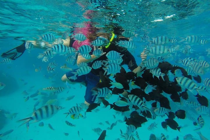 Private Bora Bora Lagoon Tour: Exclusive Snorkeling & Motu Hopping photo 3