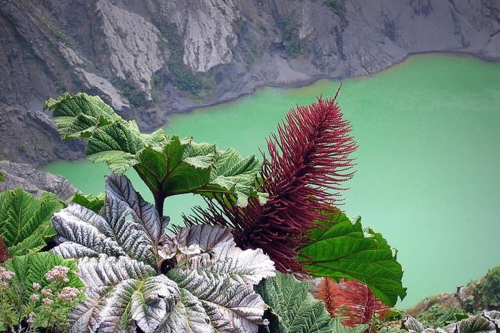 Irazú Volcano and Hacienda Orosi Hot Springs: Full-Day Trip from San José photo 5