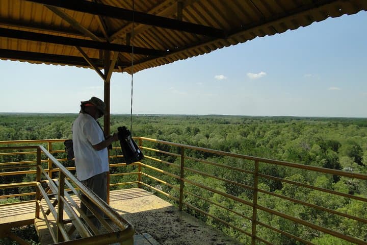 Can Gio Biosphere Reserve Day Trip: Mangroves, Monkeys & Birdwatching photo 4
