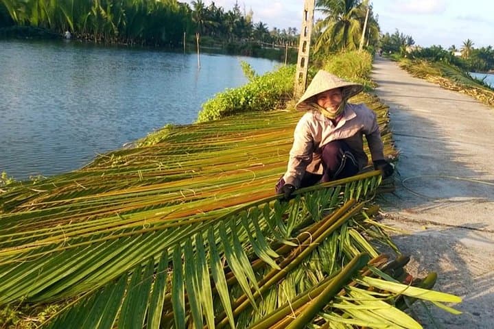 Cam Thanh Buffalo Riding & Basket Boat Half-Day Adventure from Hoi An photo 3
