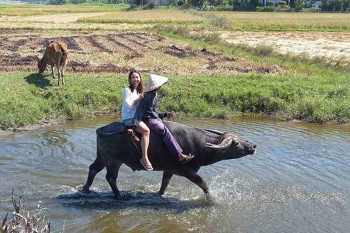 Cam Thanh Buffalo Riding & Basket Boat Half-Day Adventure from Hoi An photo 2