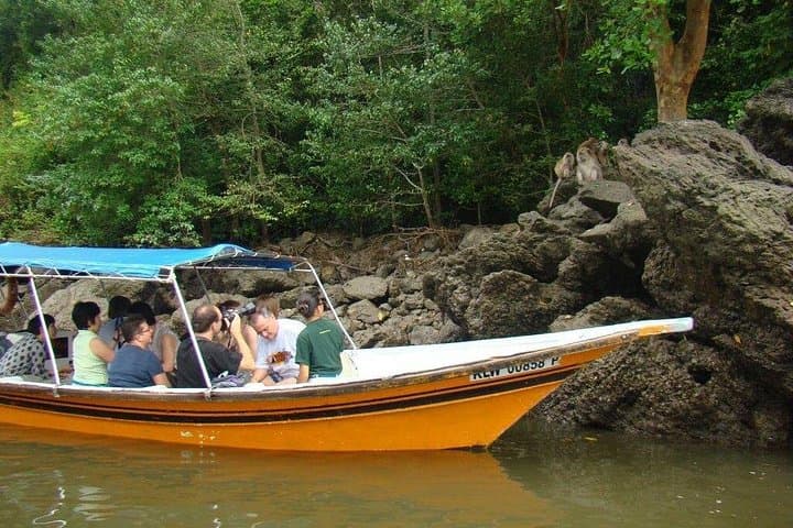 Langkawi Mangrove Forest Tour: Kilim Geoforest Boat Adventure photo 2