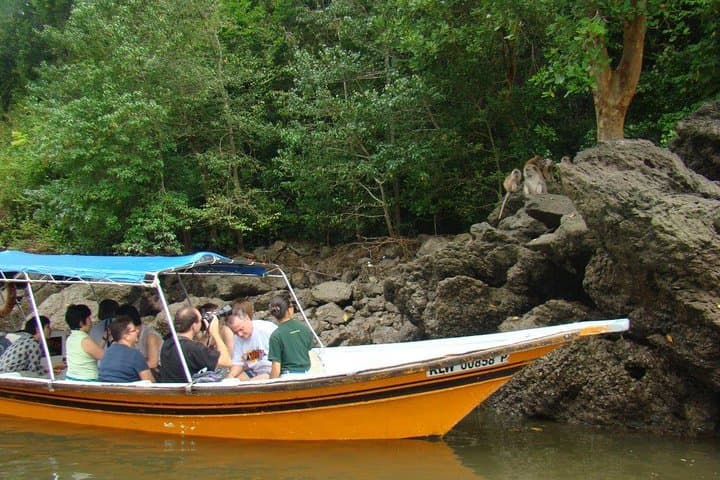 Langkawi Mangrove & Limestone Boat Tour — Kilim River, Bat Cave & Ray Feeding photo 2