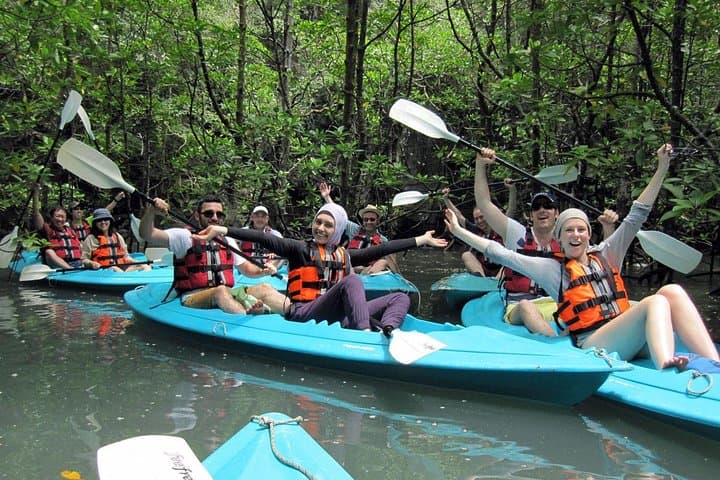 Kubang Badak Kayaking: Explore Langkawi’s Mangrove Rivers and Jungle Pool
