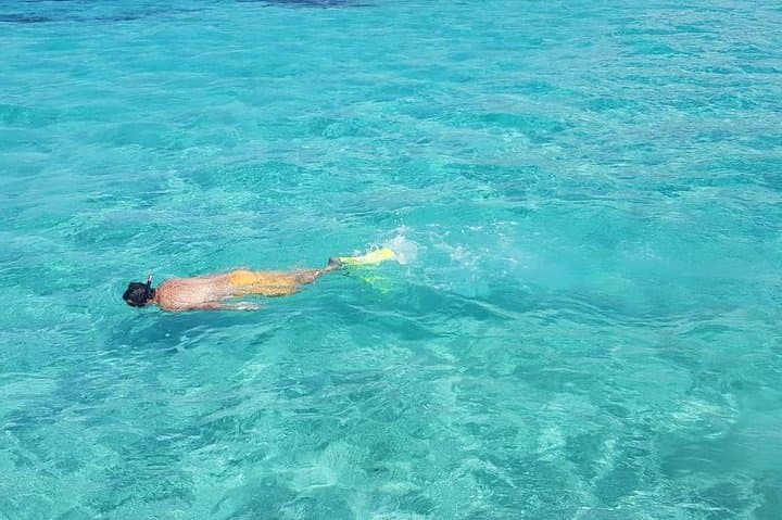Full-Day Ile aux Cerfs Catamaran Cruise from Trou d'Eau Douce — All-Inclusive Lagoon Adventure photo 3