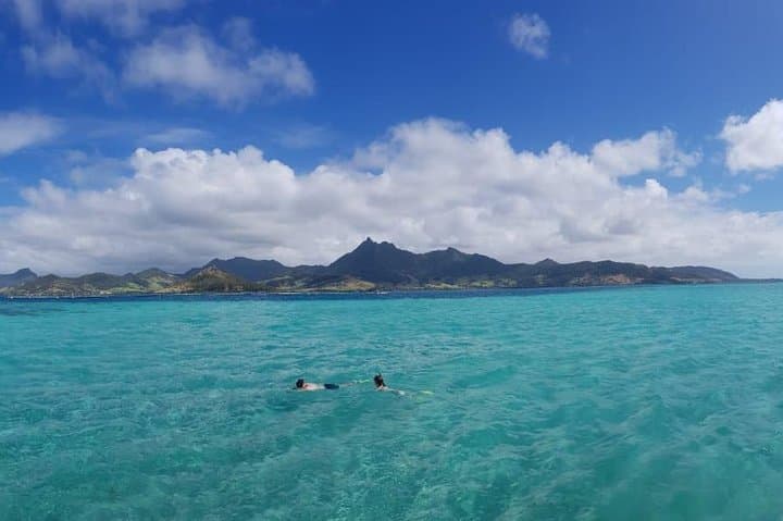 Full-Day Ile aux Cerfs Catamaran Cruise from Trou d'Eau Douce — All-Inclusive Lagoon Adventure photo 4