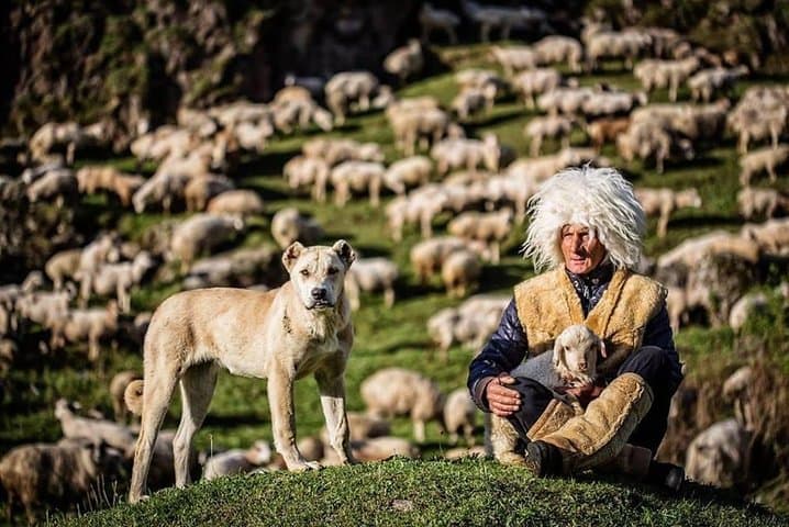 2-Day Kazbegi Private Tour from Tbilisi: Gergeti Church, Ananuri & Gveleti Falls