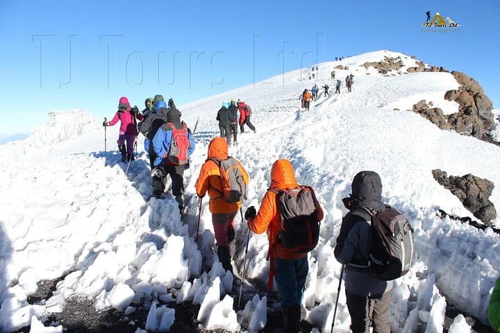 Conquering Kilimanjaro’s Marangu Route: A 5-Day Summit Trek Experience photo 2