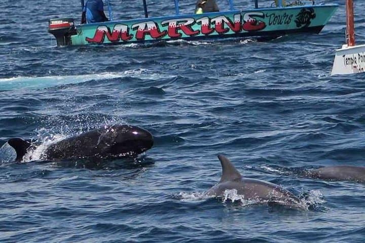 Snorkel & Canoe: Watamu Marine Park and Sudi Island Day Trip with Seafood Lunch
