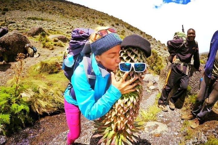 Conquering Kilimanjaro’s Marangu Route: A 5-Day Summit Trek Experience photo 5