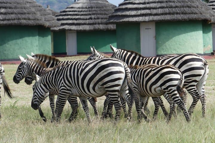 Across Africa Safari: 29-Day Overland Journey from Cape Town to Uganda photo 6