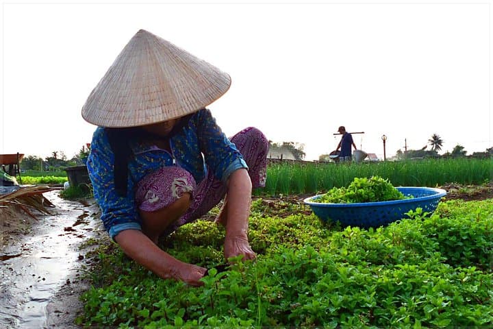 Tra Que Bike Tour & Hoi An Lantern Making Workshop: Cycling, Farming and Crafting in One Morning photo 5