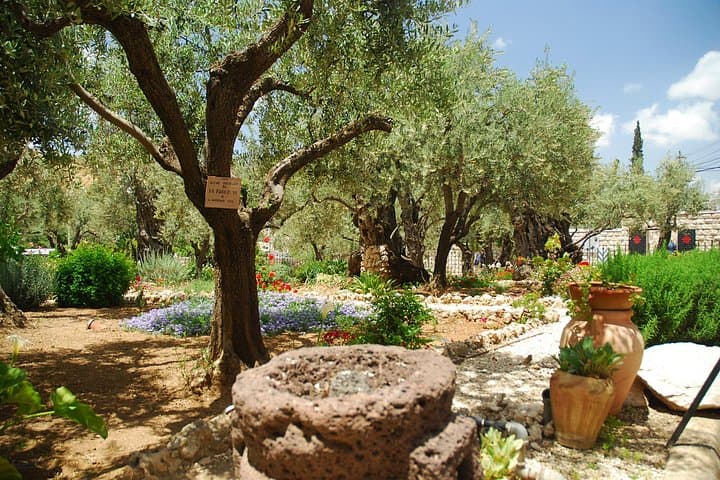 In the Footsteps of Jesus: Full-Day Jerusalem Walking Tour from Tel Aviv photo 3