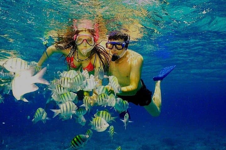 Catamaran Catalina Island Day Trip: Snorkel "The Wall" and Beach Lunch from Punta Cana photo 3