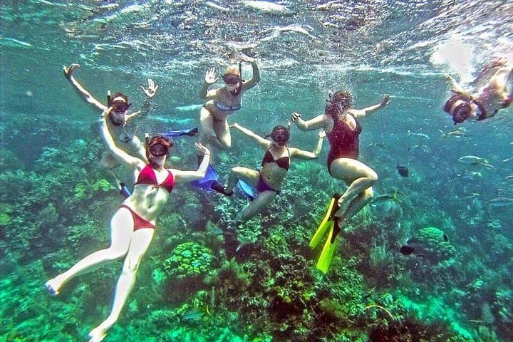 Catamaran Catalina Island Day Trip: Snorkel "The Wall" and Beach Lunch from Punta Cana photo 4