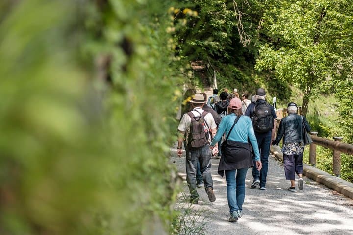Monte Brè Tour from Lugano: Lake Cruise, Funicular & Village Walk photo 3