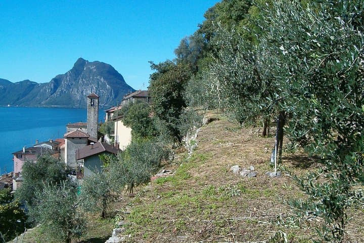 Olive Trail Guided Walk: Lugano to Gandria with Boat Return photo 6